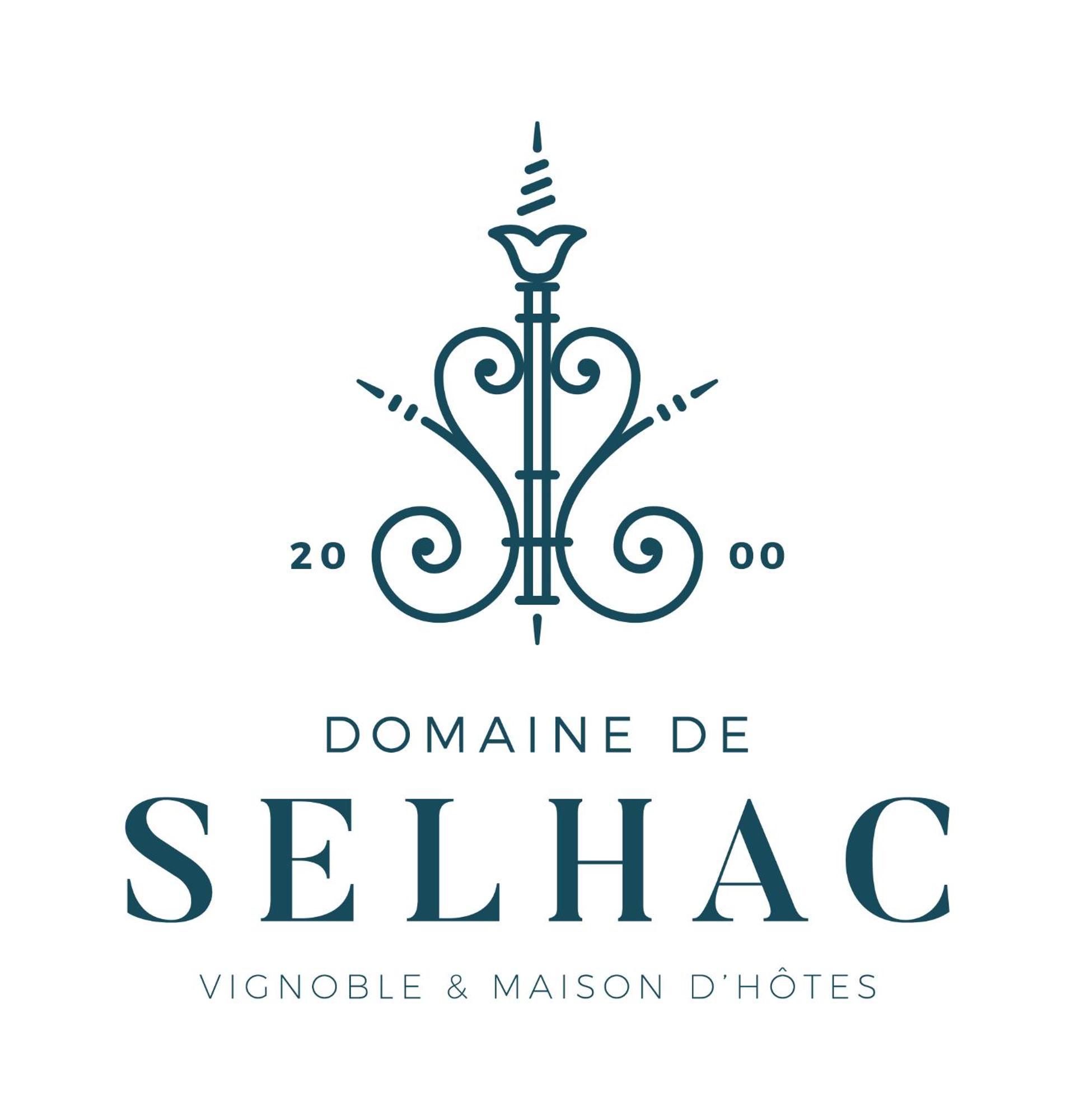 ホテル Domaine De Selhac フロンティニャン エクステリア 写真